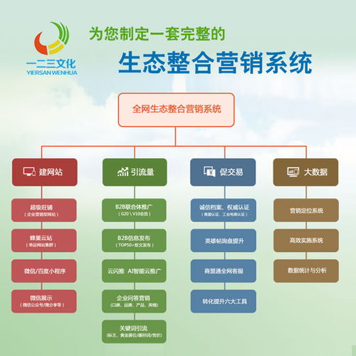 選擇全網推廣服務商的實用指南 以寧陵企業為例聚焦一二三網絡維護與市場營銷策劃